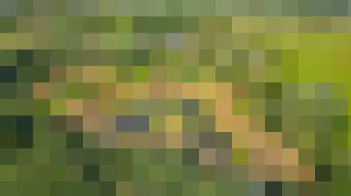 Saardijk 11 Sevenum thumbnail 23