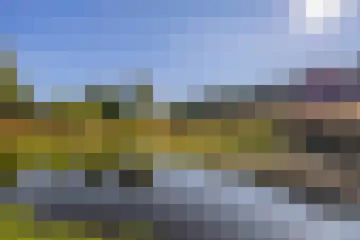 Saardijk 11 Sevenum thumbnail 24