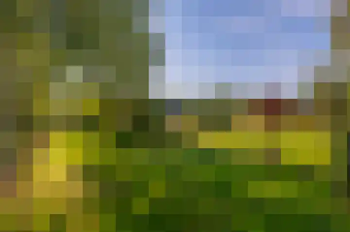Saardijk 11 Sevenum thumbnail 26