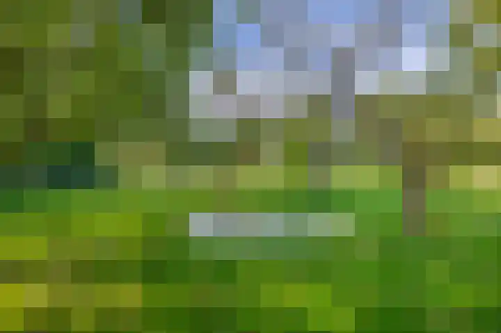 Saardijk 11 Sevenum thumbnail 27