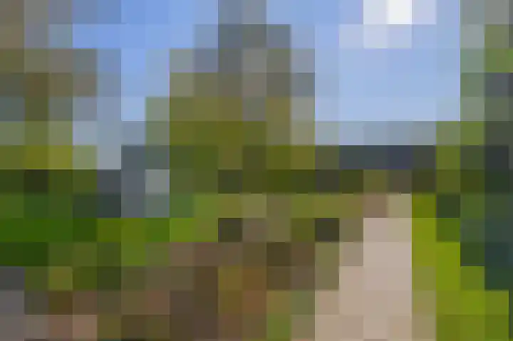 Saardijk 11 Sevenum thumbnail 30