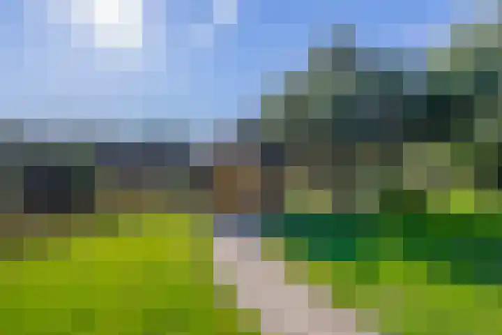 Saardijk 11 Sevenum thumbnail 31