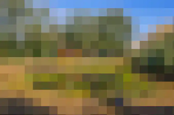 Saardijk 11 Sevenum thumbnail 34