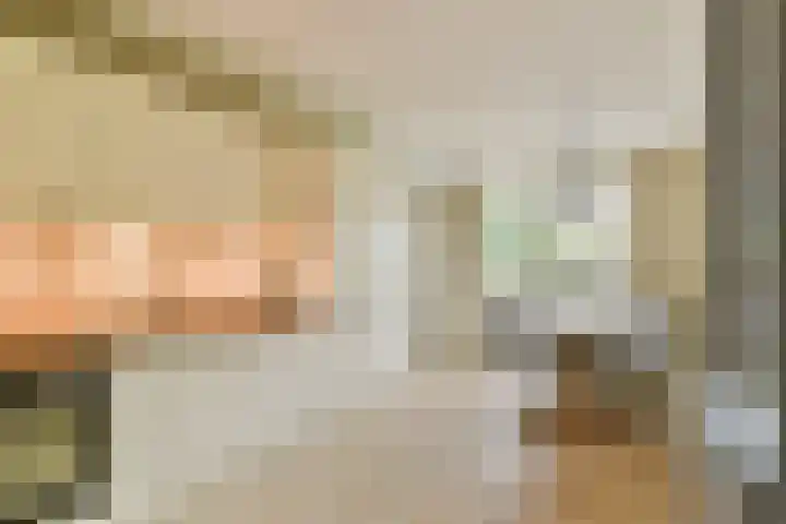 Saardijk 11 Sevenum thumbnail 39