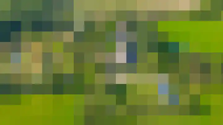 Saardijk 11 Sevenum thumbnail 6
