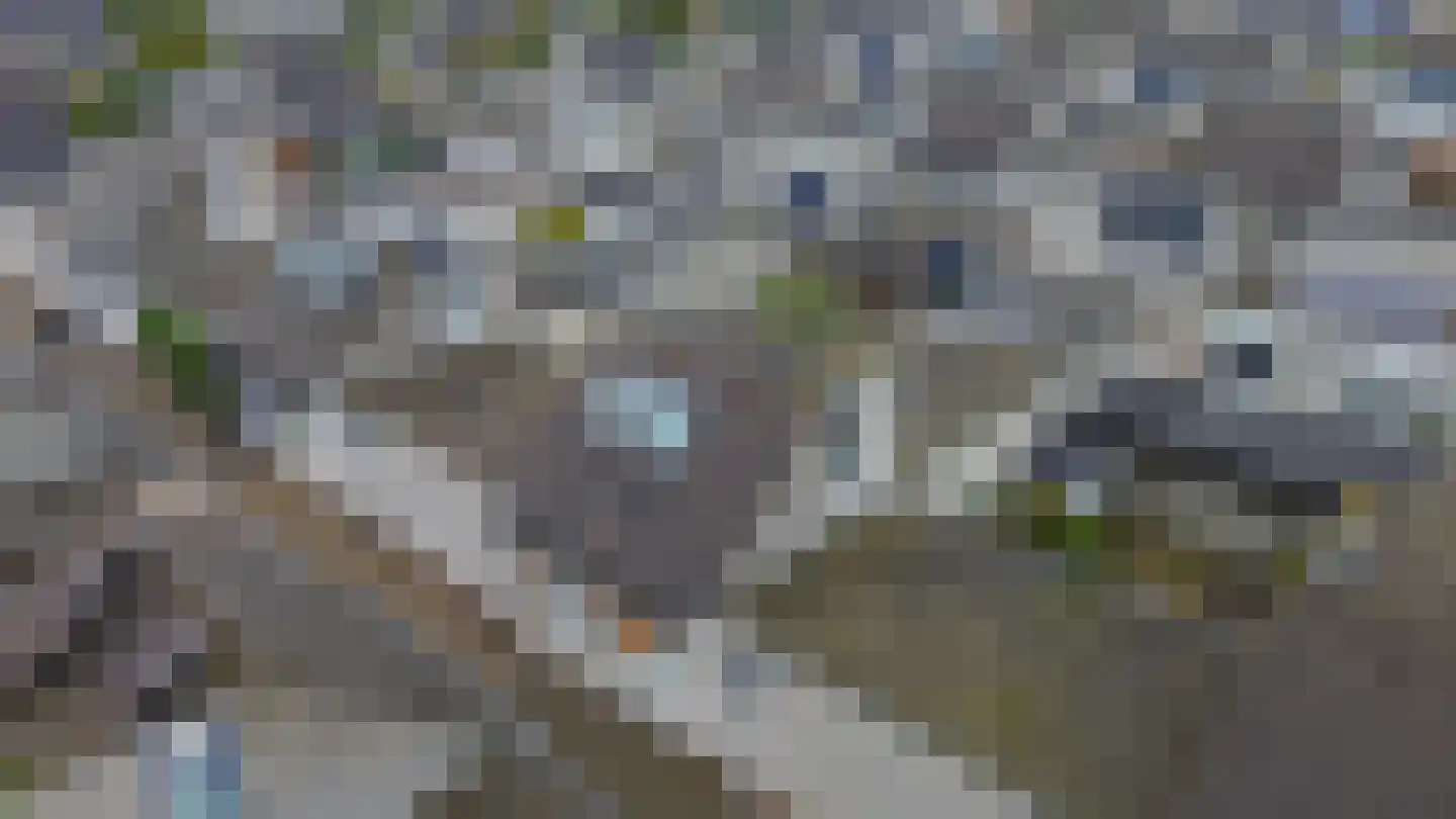 Saarhof 23 Spijkenisse thumbnail 26