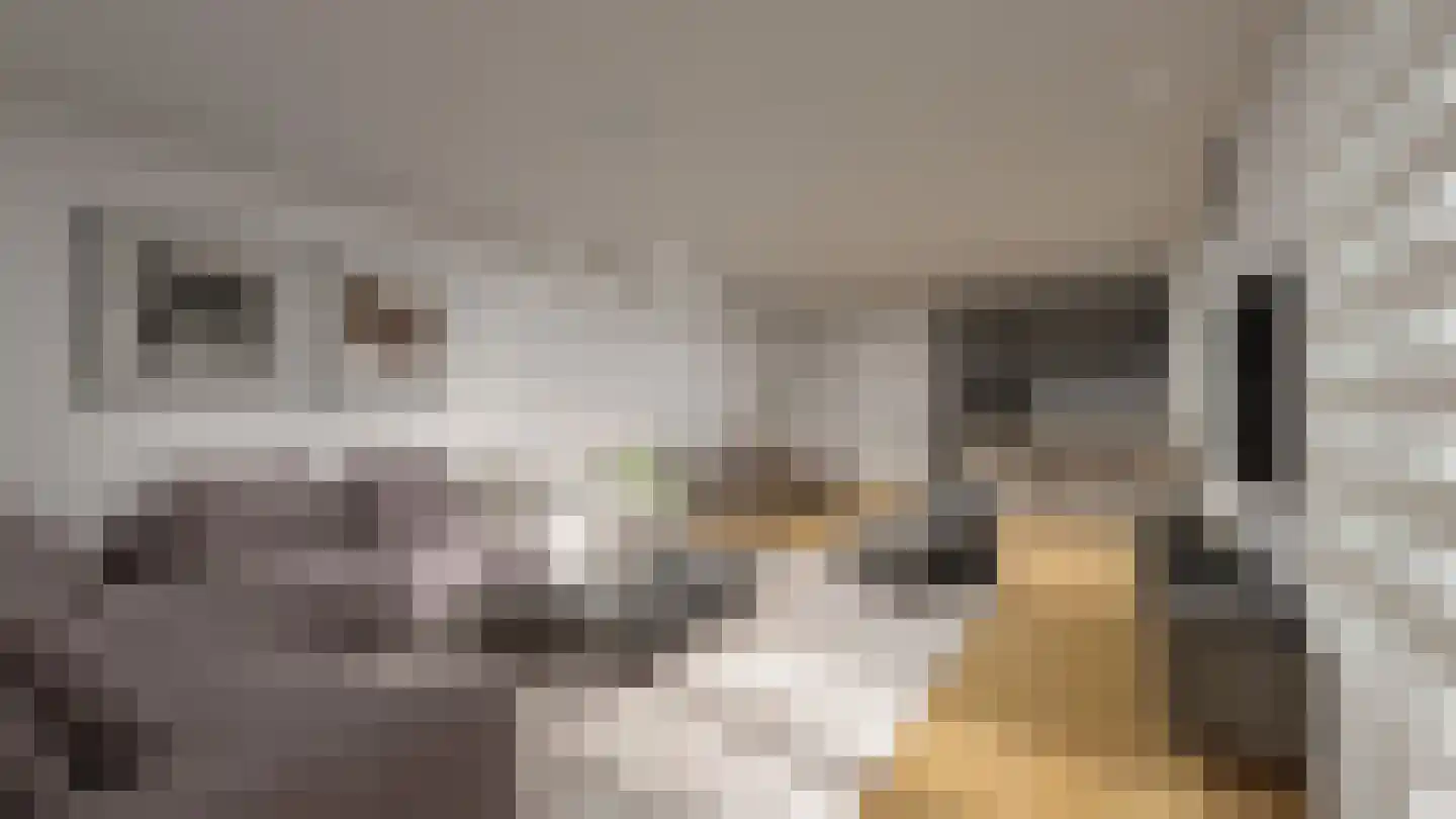 Saarhof 23 Spijkenisse thumbnail 32