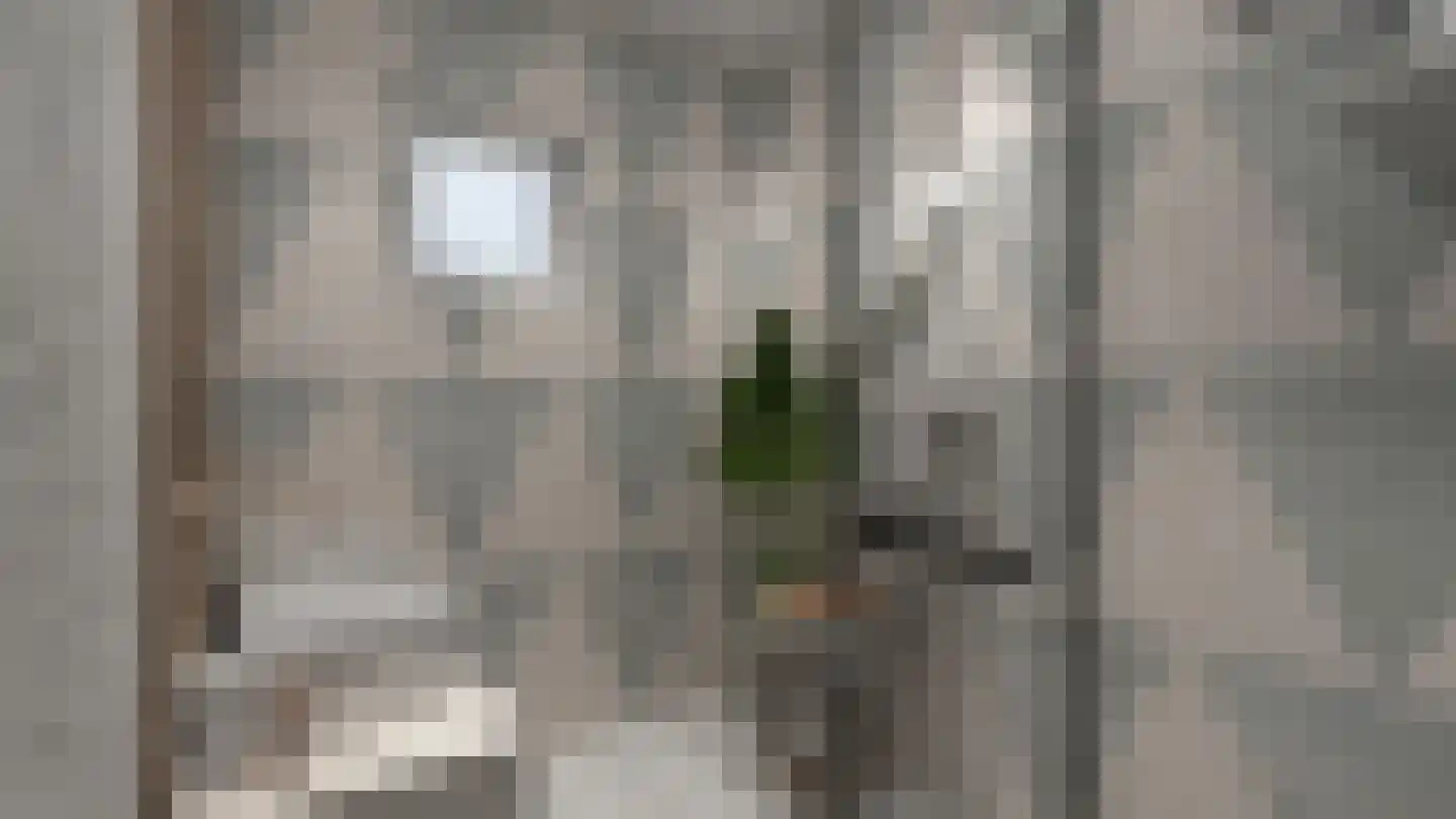 Saarhof 23 Spijkenisse thumbnail 34
