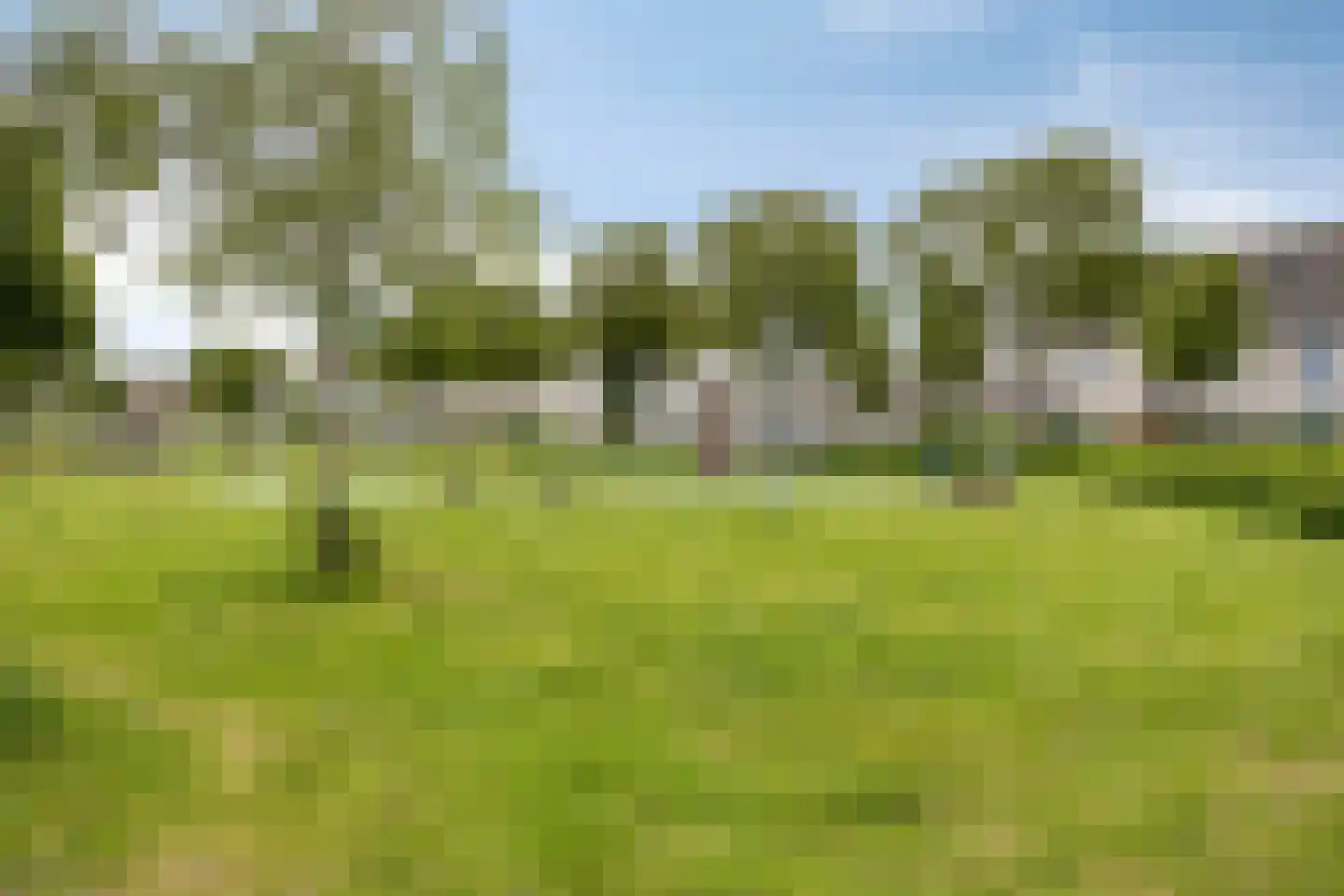 Saarhof 28 Spijkenisse thumbnail 27