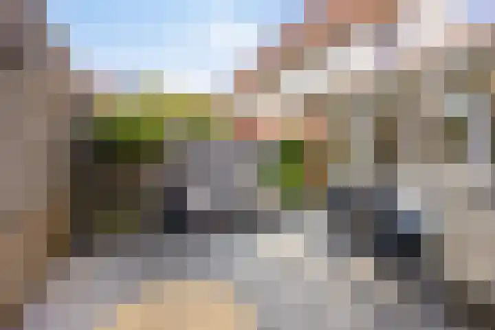 Saarland 66 Purmerend thumbnail 31