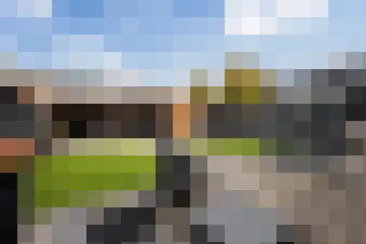 Saarloosstraat 24 Hoofddorp thumbnail 50