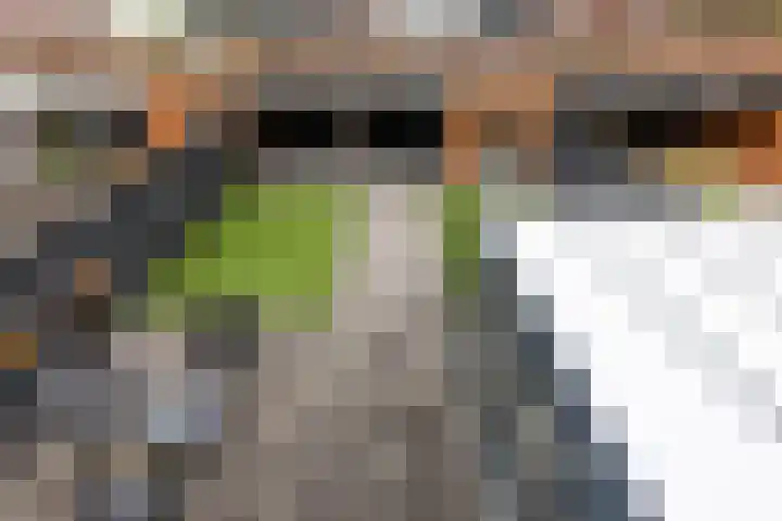 Saarloosstraat 24 Hoofddorp thumbnail 52