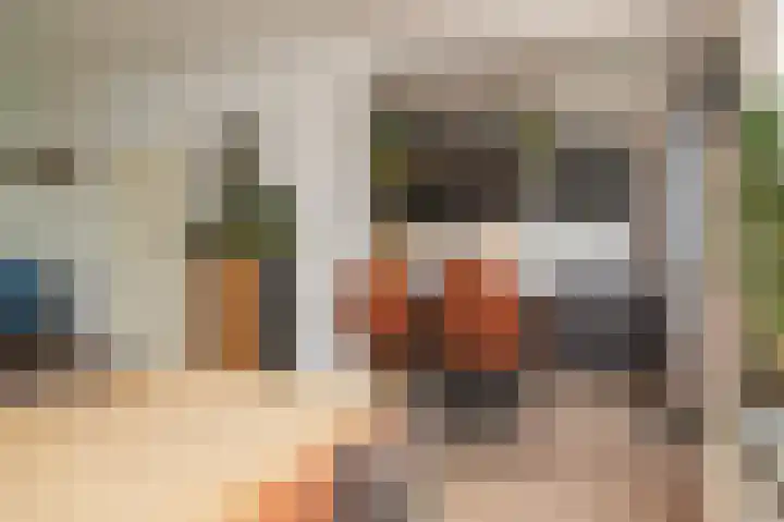 Saarskampen 11 Wamel thumbnail 11