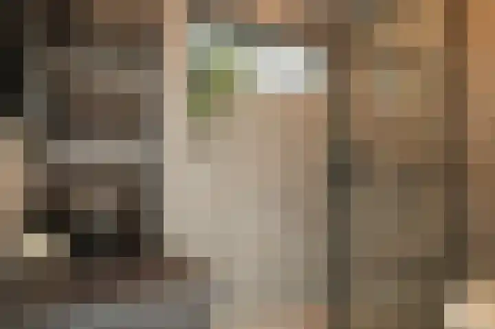 Saarskampen 11 Wamel thumbnail 21