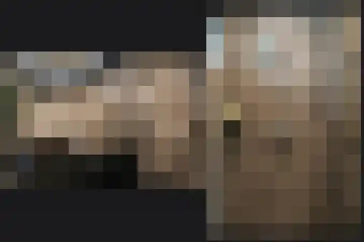Saarskampen 11 Wamel thumbnail 22