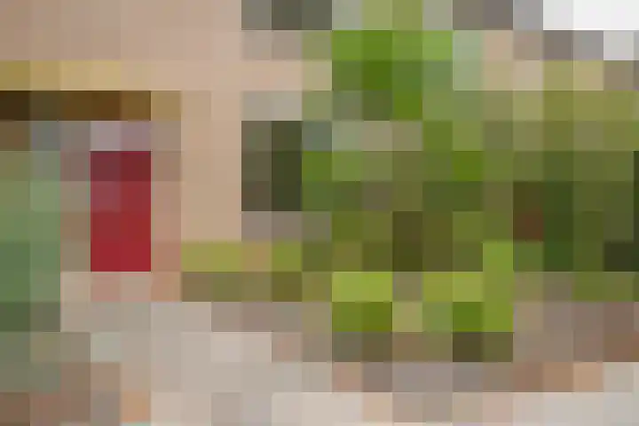 Saarskampen 11 Wamel thumbnail 35