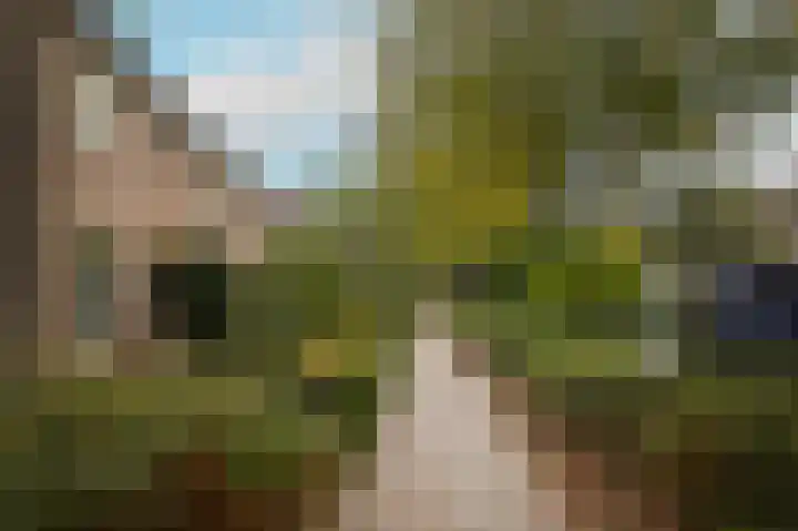 Saarskampen 11 Wamel thumbnail 36