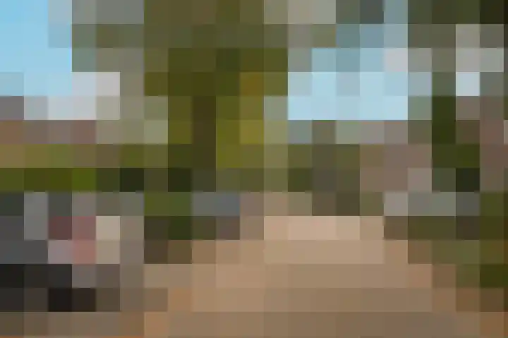 Saarskampen 11 Wamel thumbnail 37