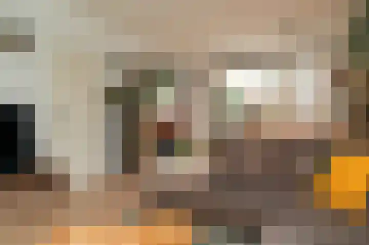 Saarskampen 11 Wamel thumbnail 4
