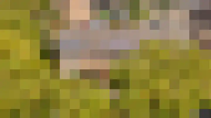 Saarskampen 11 Wamel thumbnail 40