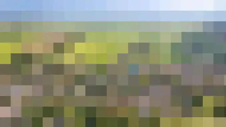Saarskampen 11 Wamel thumbnail 43