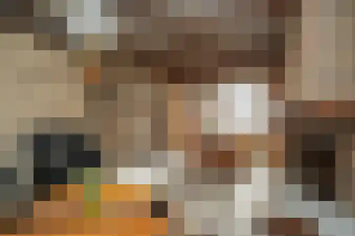 Saarskampen 22 Wamel thumbnail 11