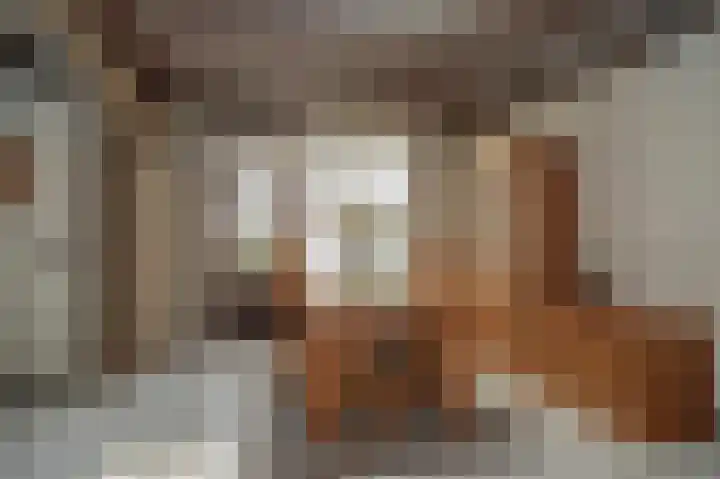 Saarskampen 22 Wamel thumbnail 12