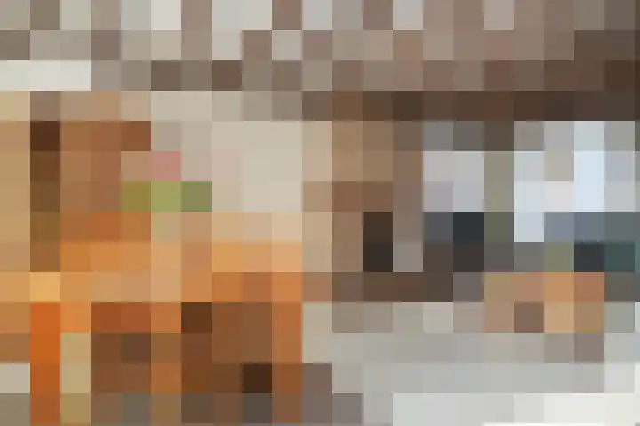 Saarskampen 22 Wamel thumbnail 6
