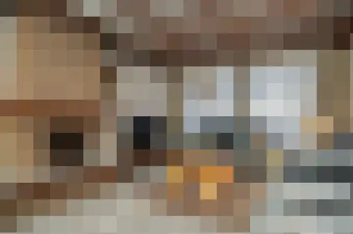 Saarskampen 22 Wamel thumbnail 8