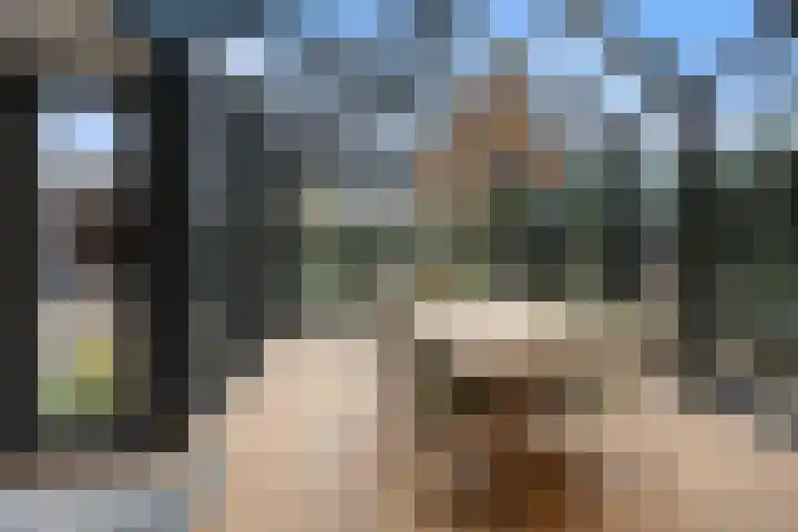 Saarskampen 24 Wamel thumbnail 19