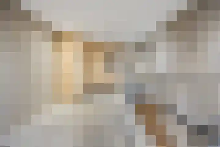 Saarskampen 24 Wamel thumbnail 28