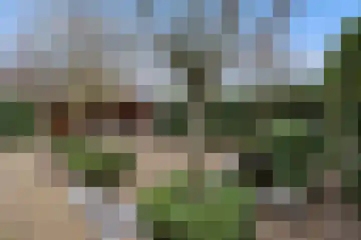 Saarskampen 24 Wamel thumbnail 62