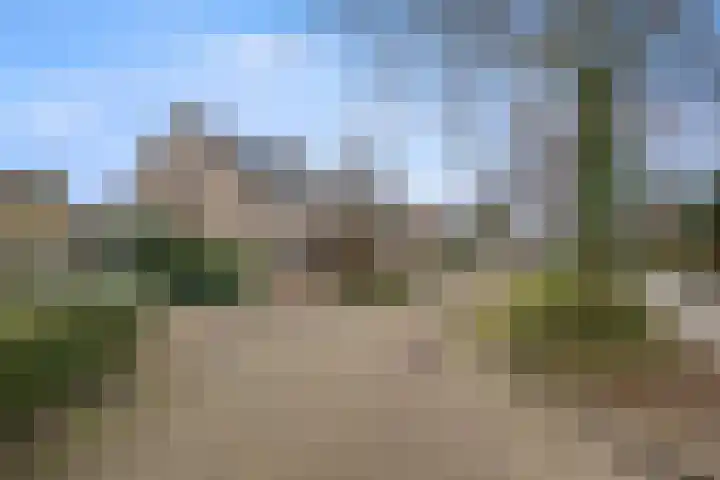Saarskampen 24 Wamel thumbnail 65