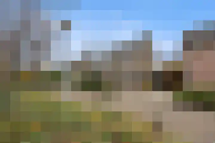 Saarskampen 24 Wamel thumbnail 67