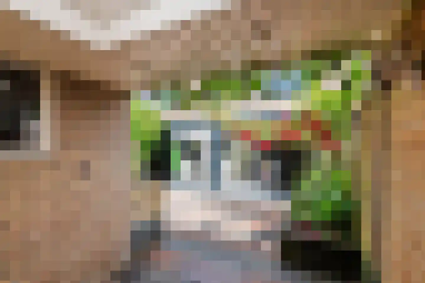 Saarskampen 4 Wamel thumbnail 34