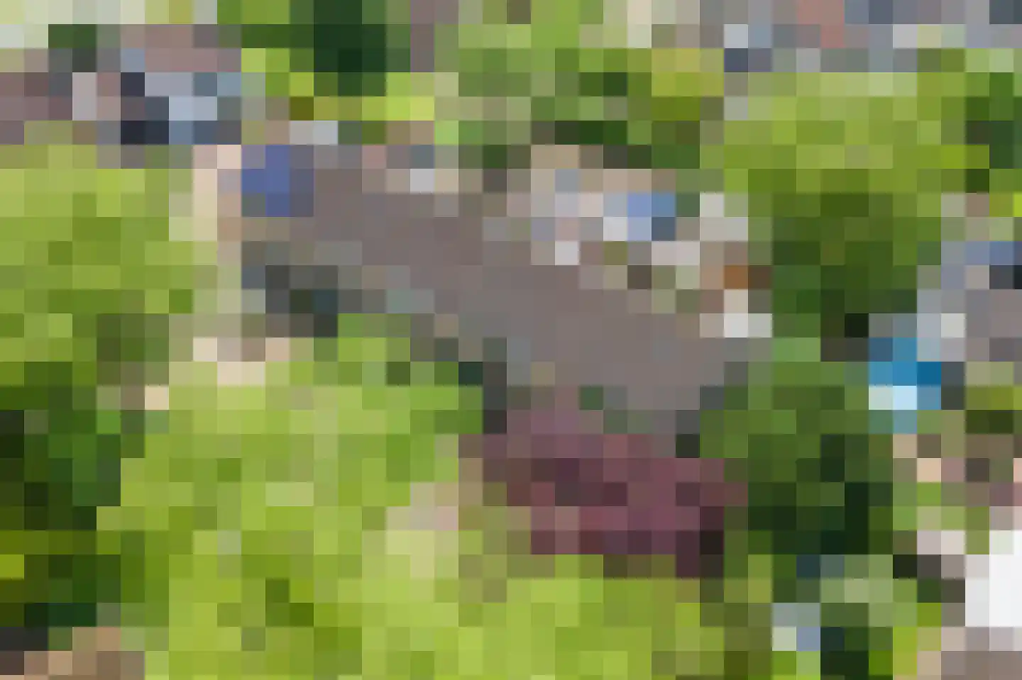 Saarskampen 4 Wamel thumbnail 38