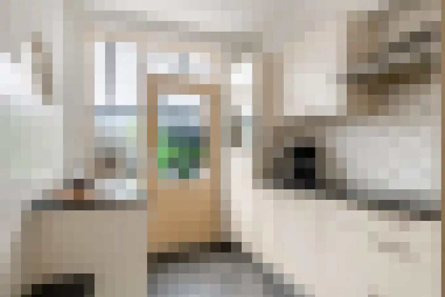 Saarskampen 4 Wamel thumbnail 4