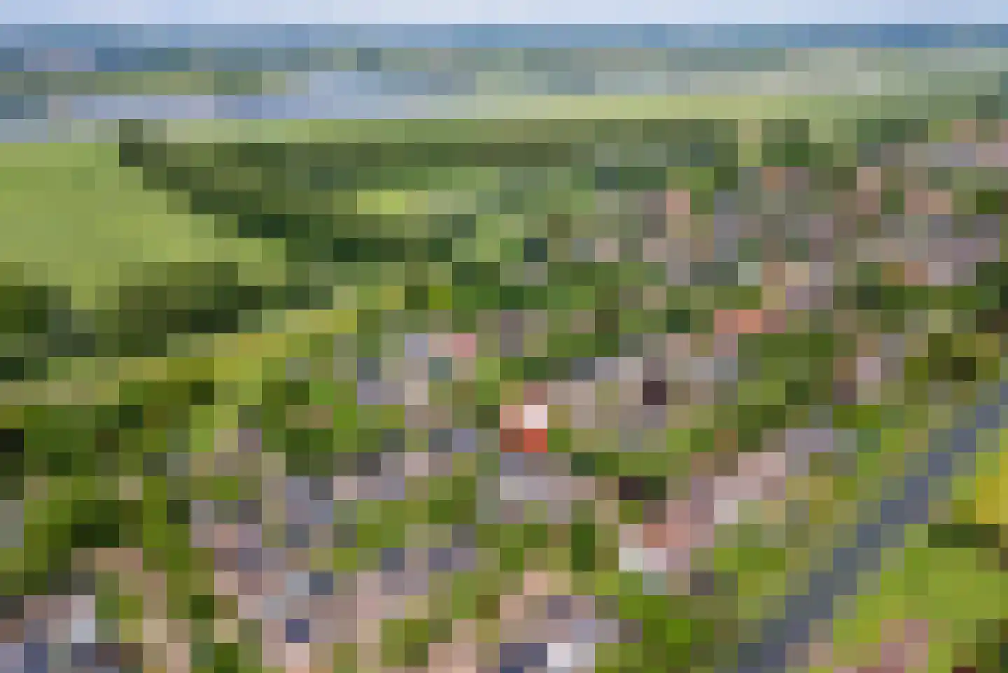 Saarskampen 4 Wamel thumbnail 40