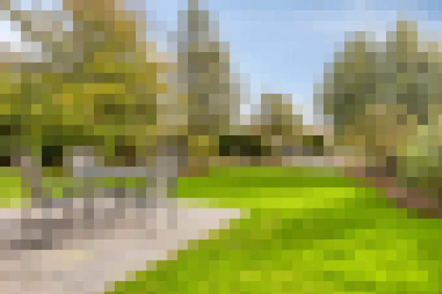 Saartje Arnoldistraat 8 Wilhelminadorp thumbnail 37