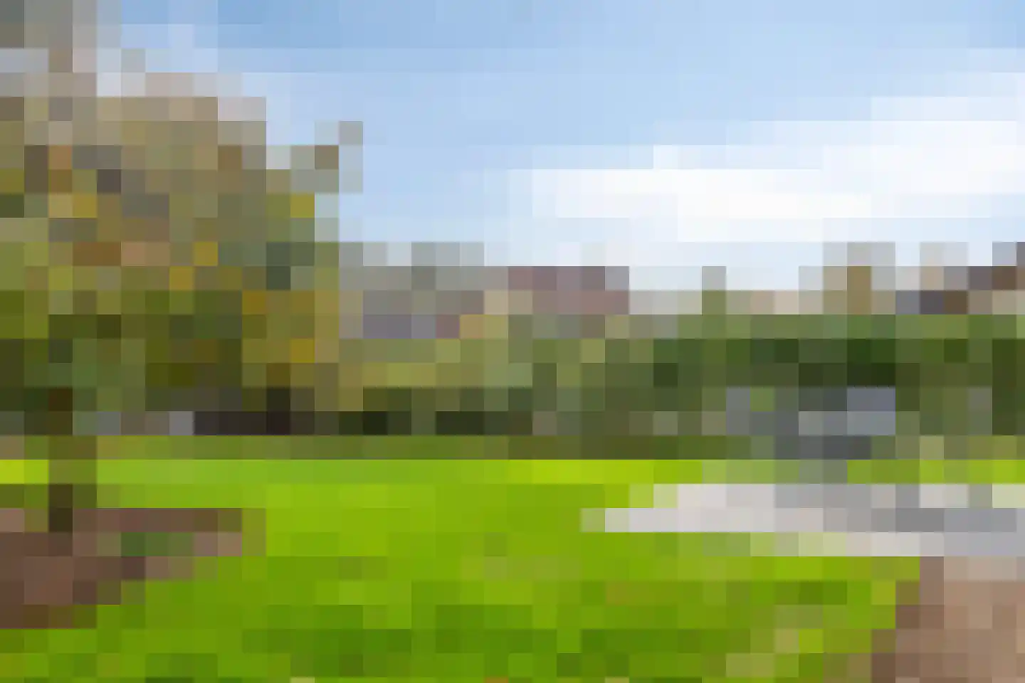 Saartje Arnoldistraat 8 Wilhelminadorp thumbnail 39