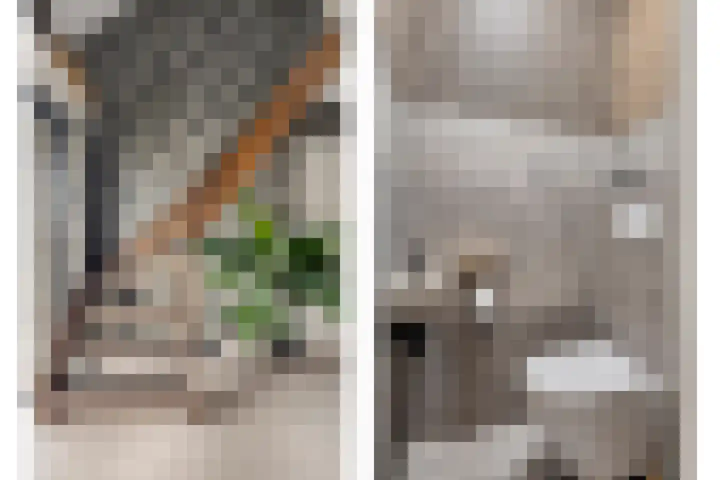 Saartje Arnoldistraat 8 Wilhelminadorp thumbnail 8