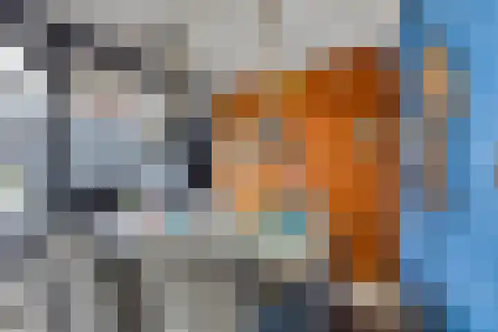 Saasveldstraat 36 Tilburg thumbnail 22