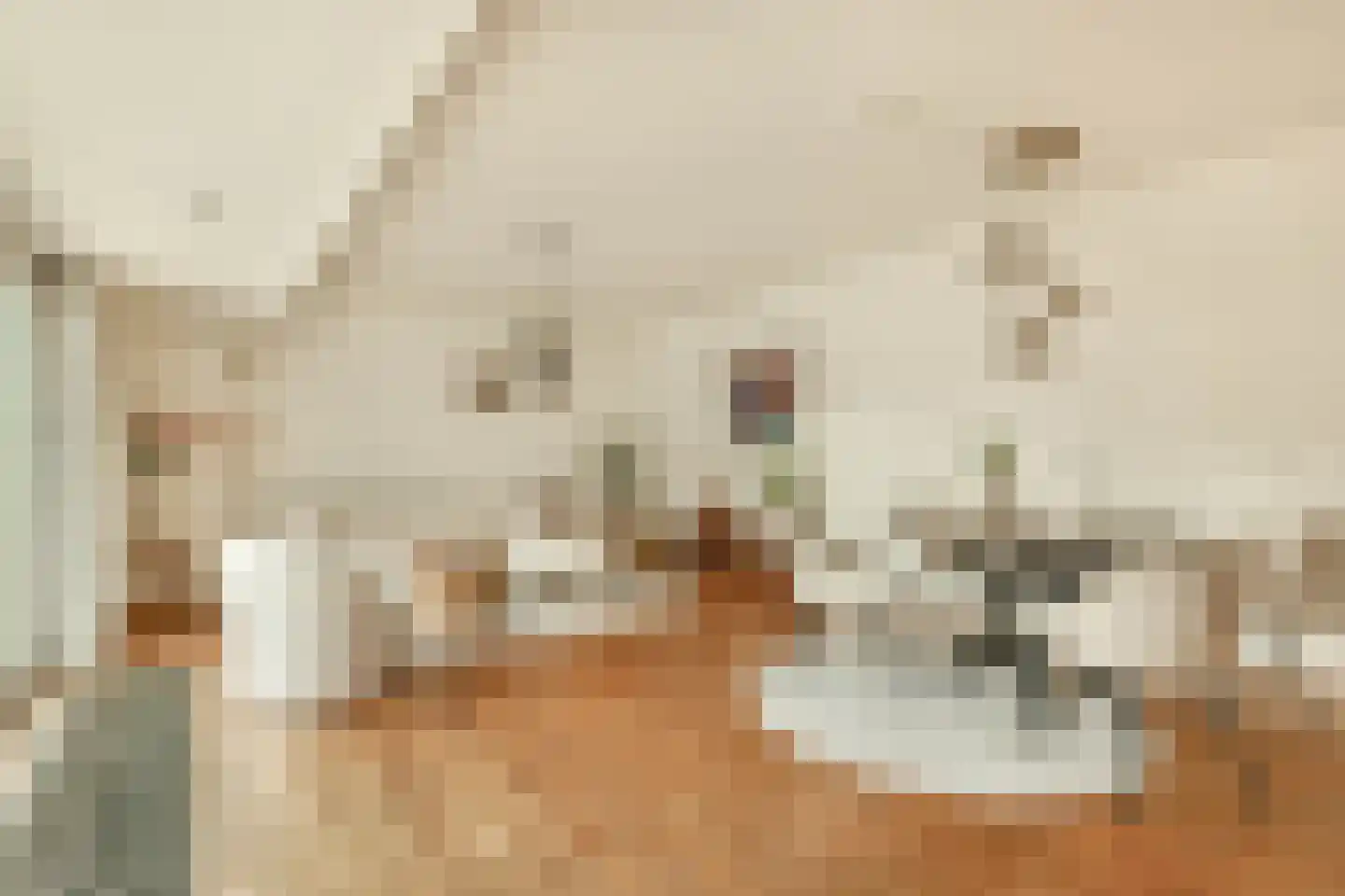 Sabadreef 5 Utrecht thumbnail 16