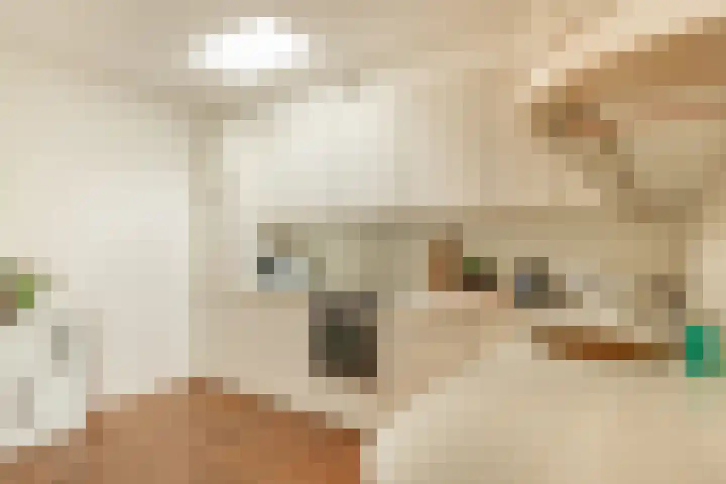 Sabadreef 5 Utrecht thumbnail 19