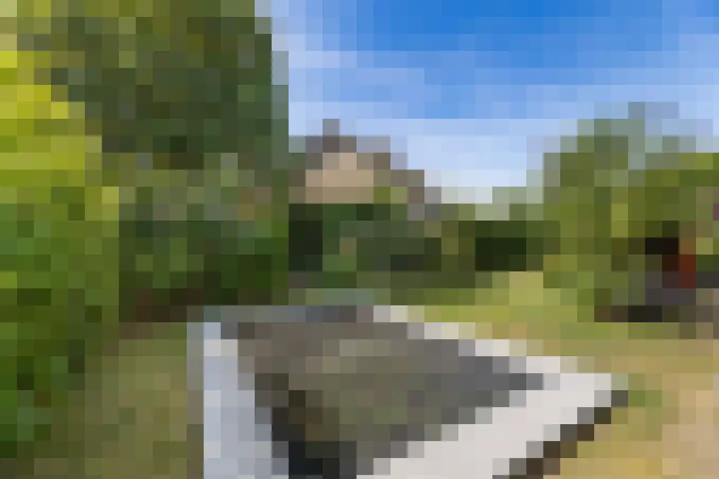 Sabalaan 1 Vlissingen thumbnail 31