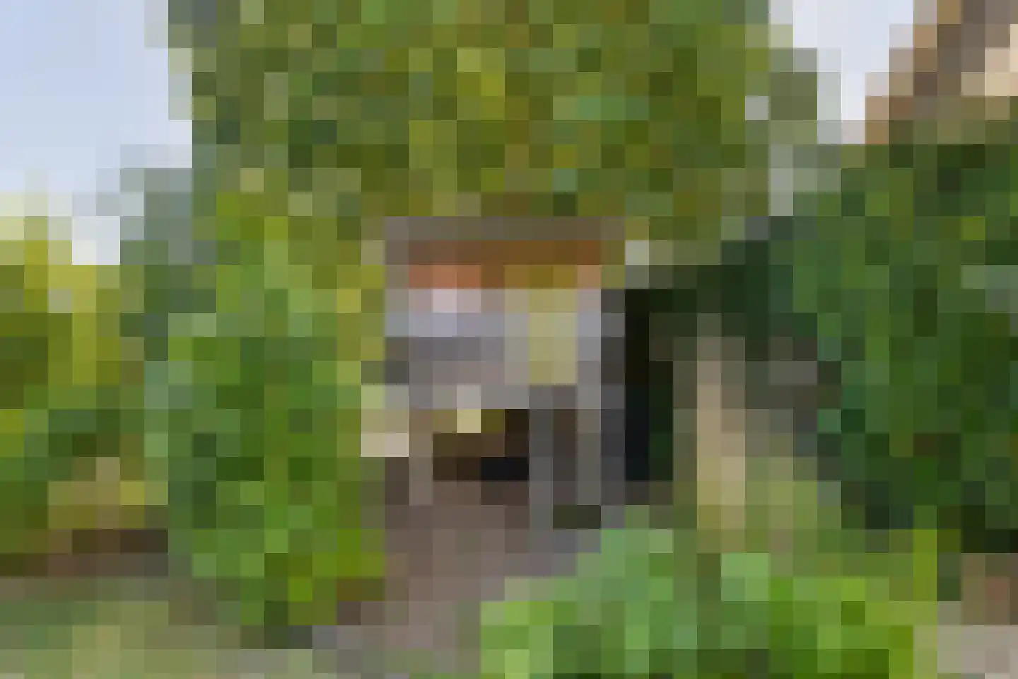 Sabalaan 1 Vlissingen thumbnail 32