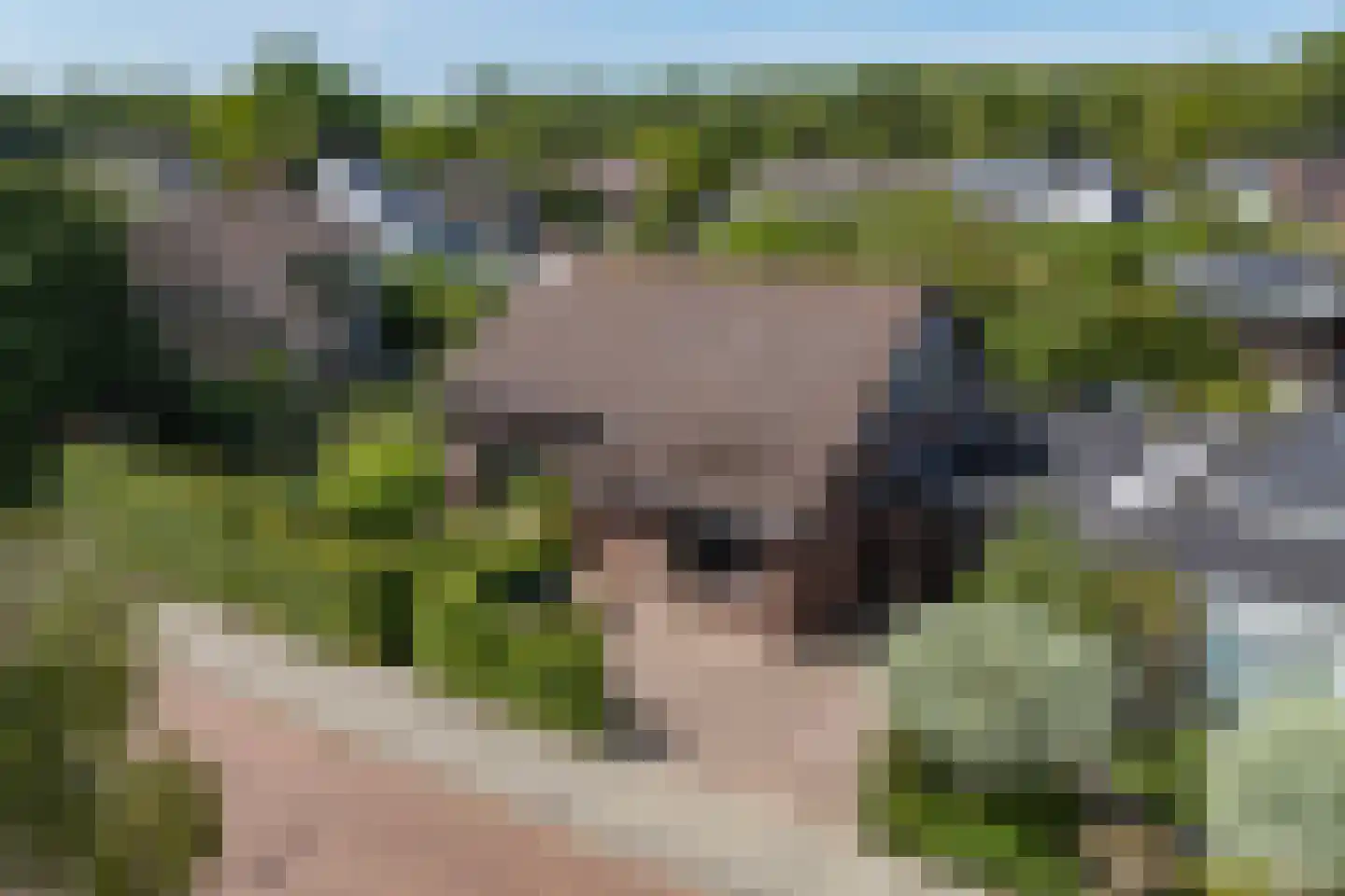 Sabalaan 1 Vlissingen thumbnail 6
