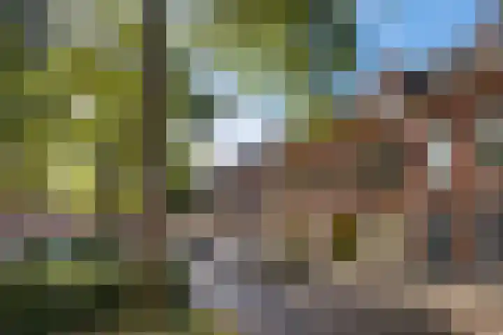 Sabangplein 18 a Groningen thumbnail 10