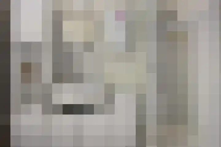 Sabangplein 18 a Groningen thumbnail 16