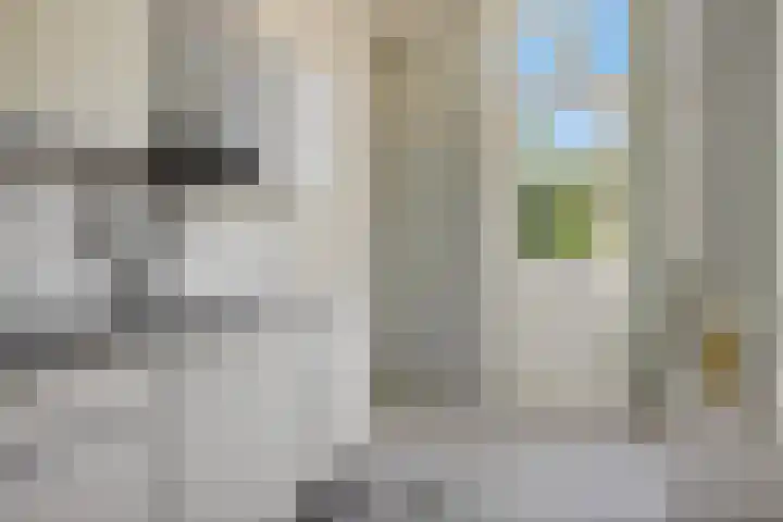 Sabangplein 18 a Groningen thumbnail 28